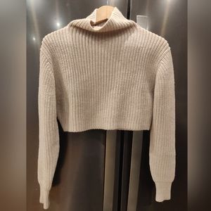 Aritzia turtle neck merino wool
